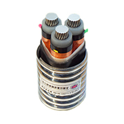 YJLHS、YJLHV22、YJLHV 8.7/15KV 中壓稀土高鐵鋁合金電纜